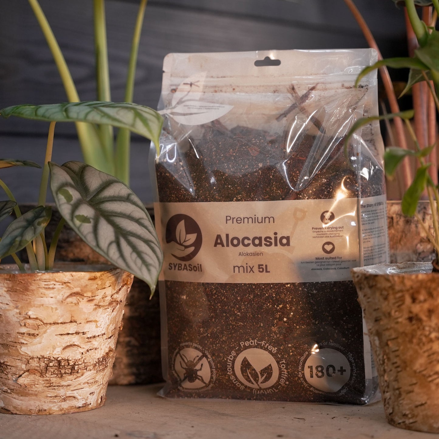 DIY-Dschungel-Mix-Bundle