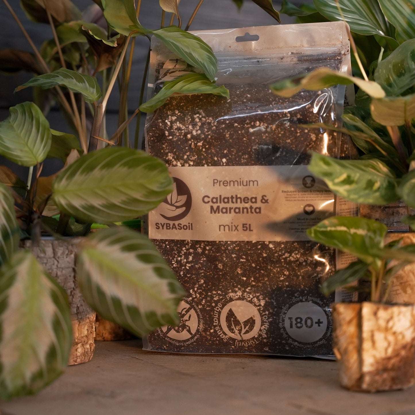 DIY-Dschungel-Mix-Bundle