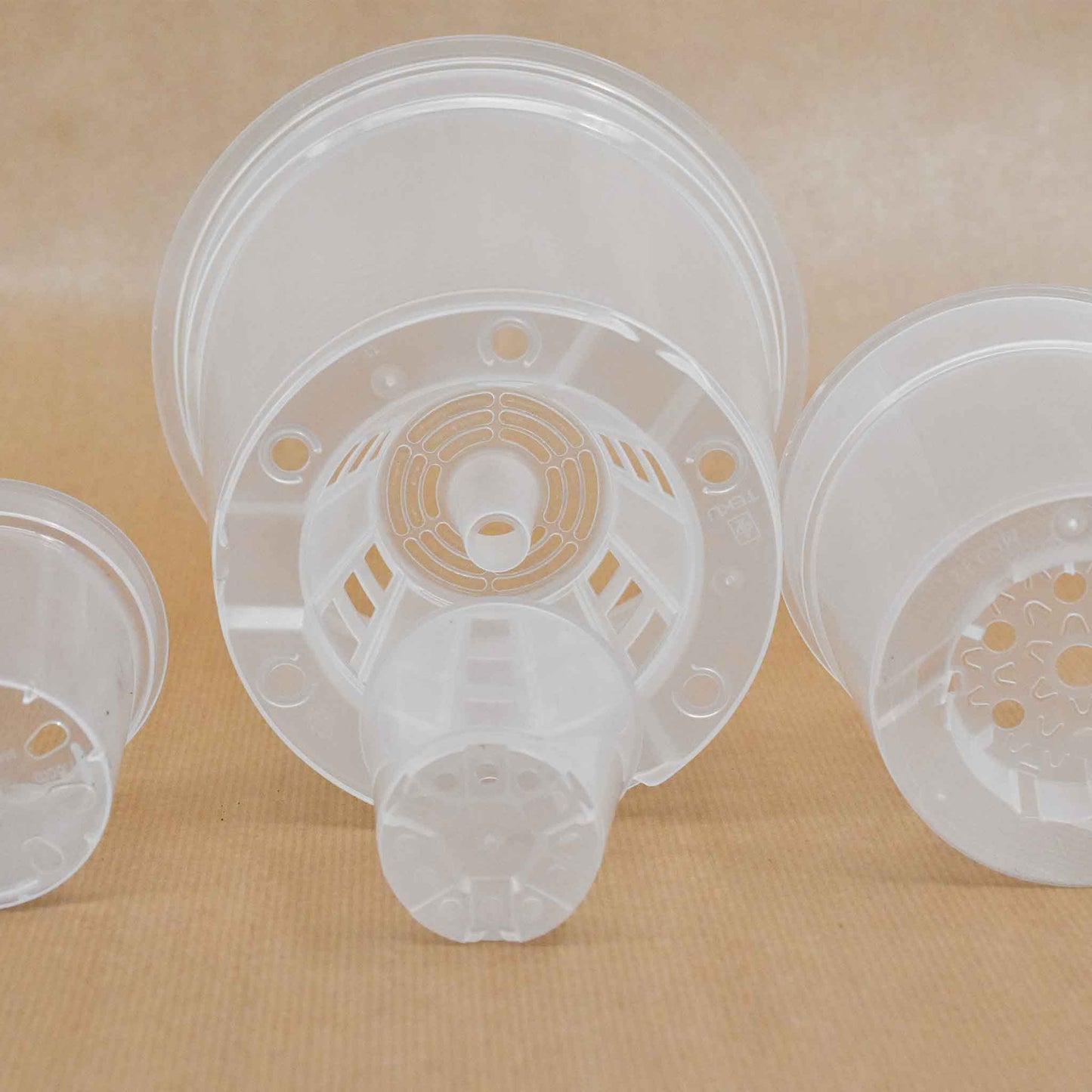 Durchsichtige Pflanztöpfe für Orchideen