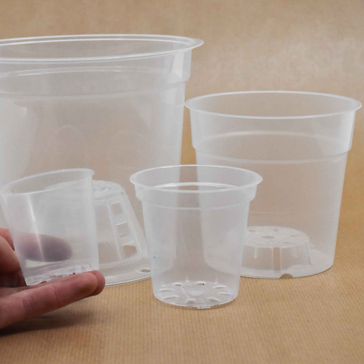 Durchsichtige Pflanztöpfe für Orchideen