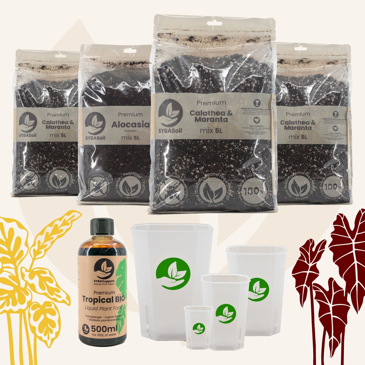 Willkommens-Bundle Tropischer Dschungel