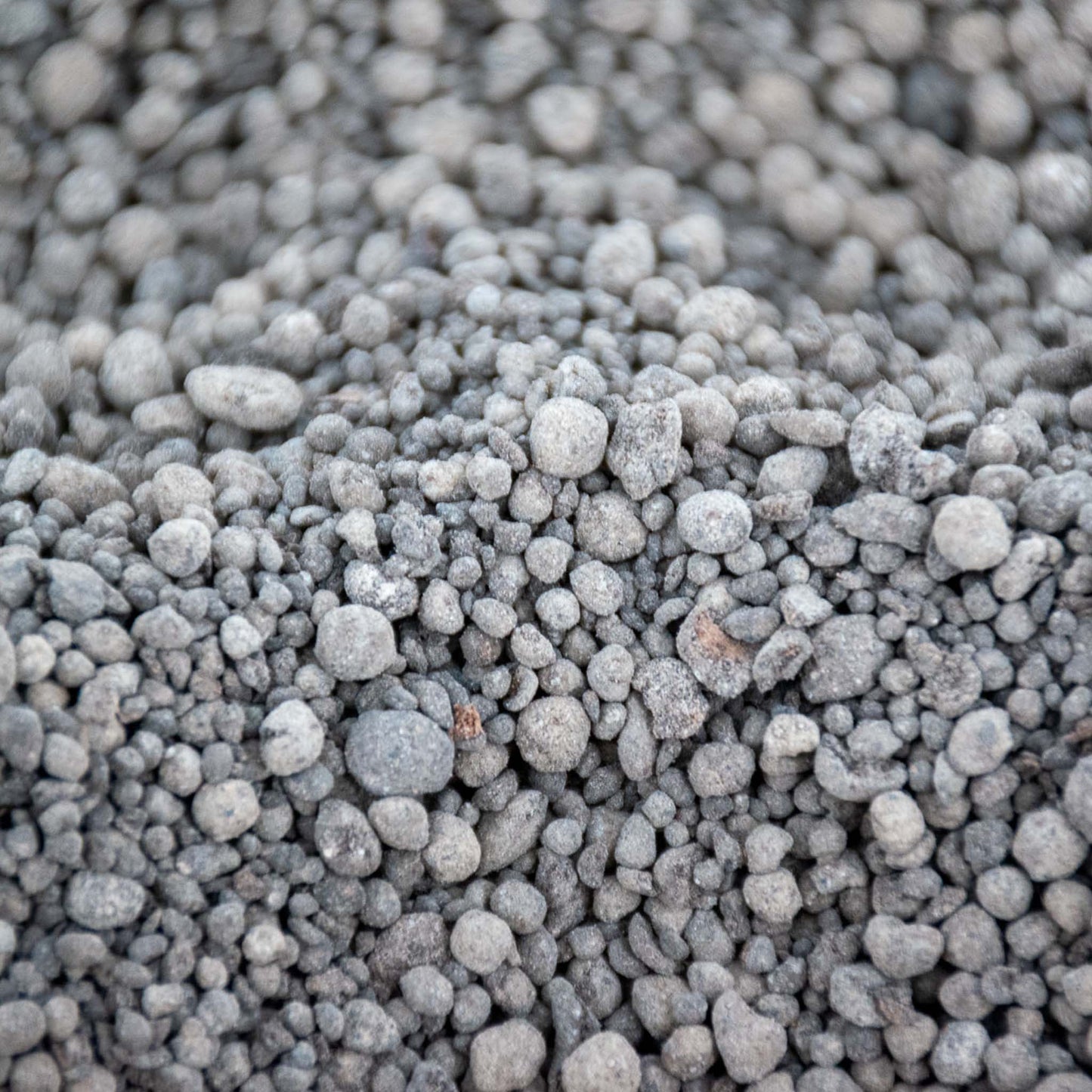 Orchideen Langzeitdünger