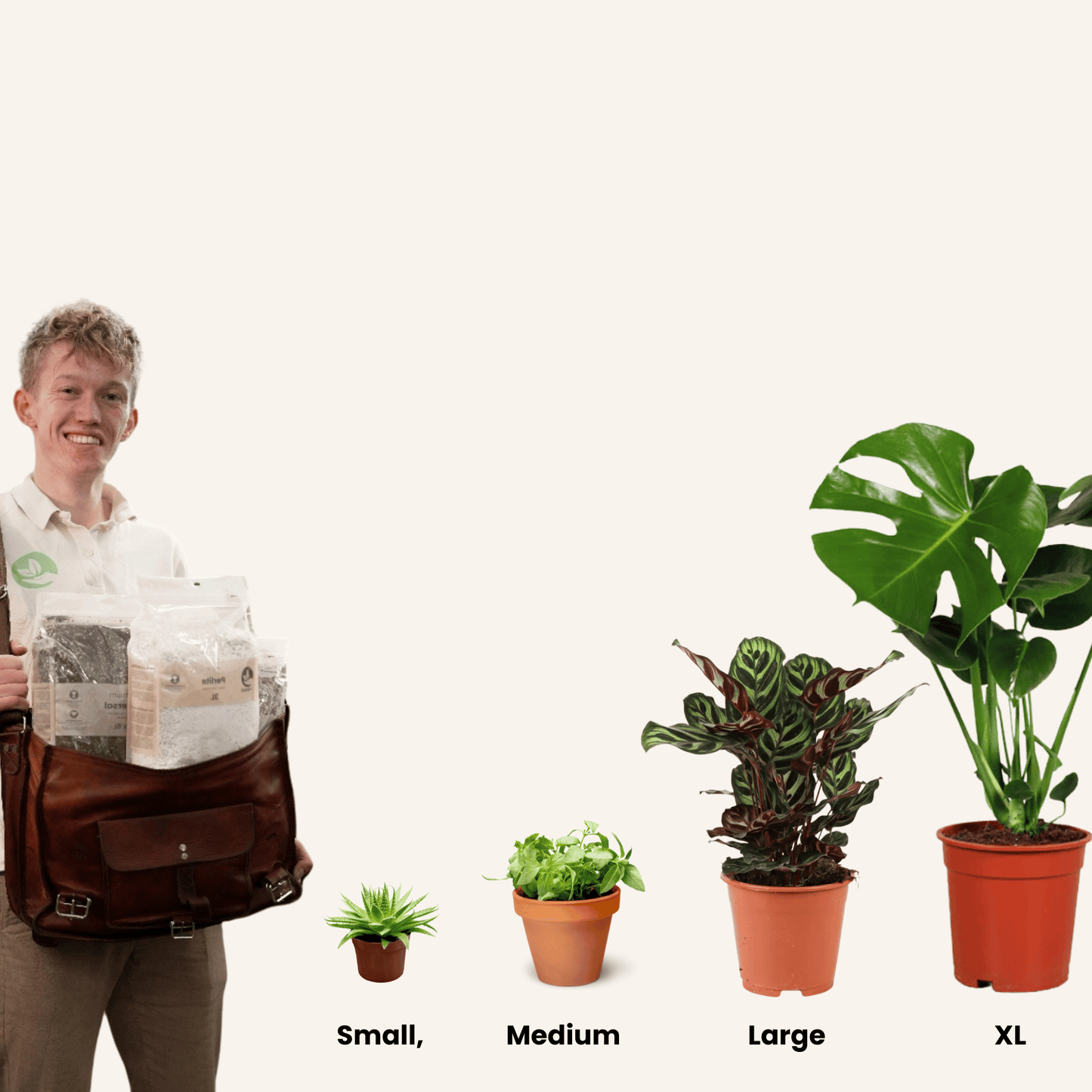 Individuelle Blumenerde-Beratung™: Wir finden, was deine Pflanze wirklich braucht