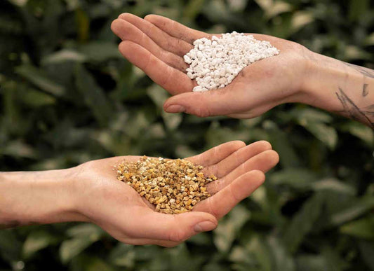 Perlite v.s. Vermiculite