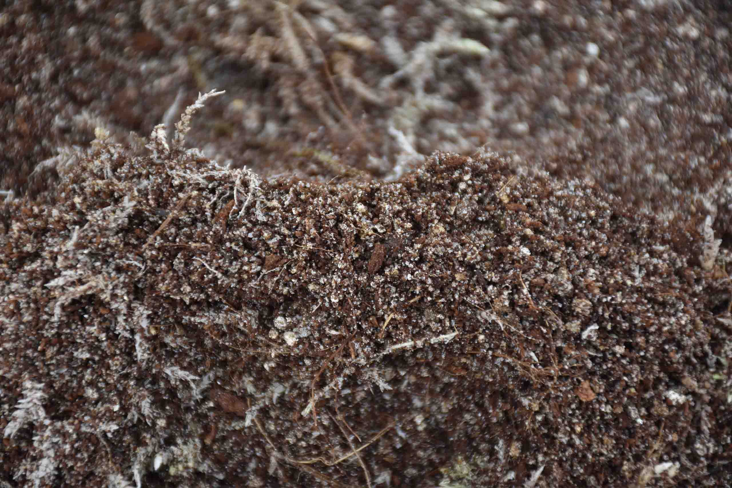 potting soil