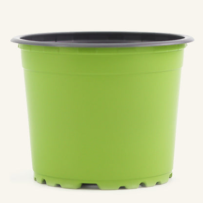 Grüner Anzuchttopf