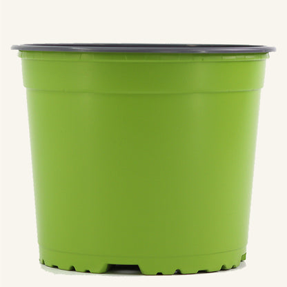 Grüner Anzuchttopf