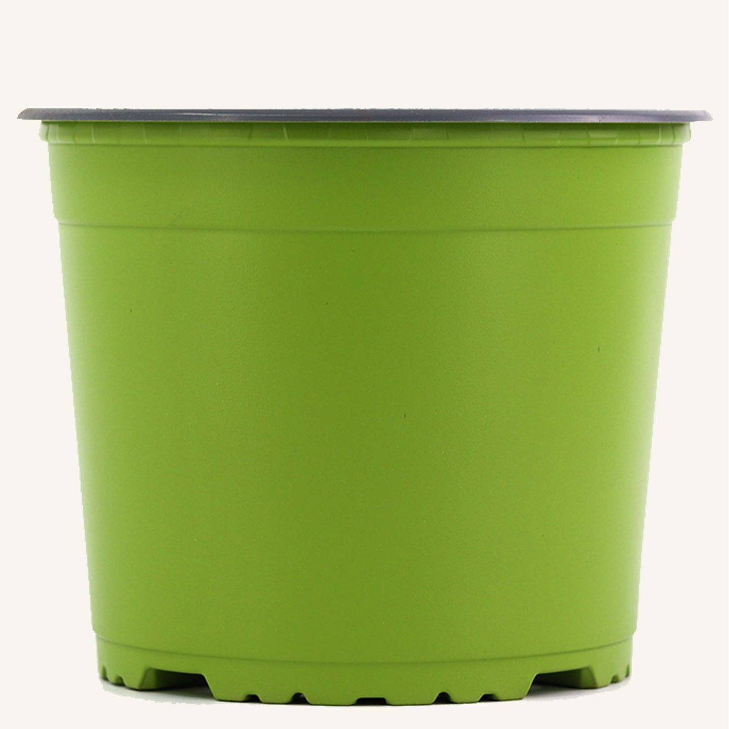 Grüner Anzuchttopf