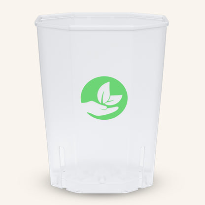 Quadratische durchsichtige Pflanztöpfe