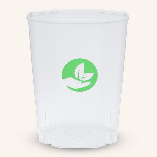 Quadratische durchsichtige Pflanztöpfe