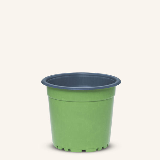 Grüner Anzuchttöpfe