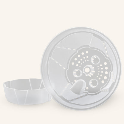 Selbstbewässernde durchsichtige Blumentöpfe