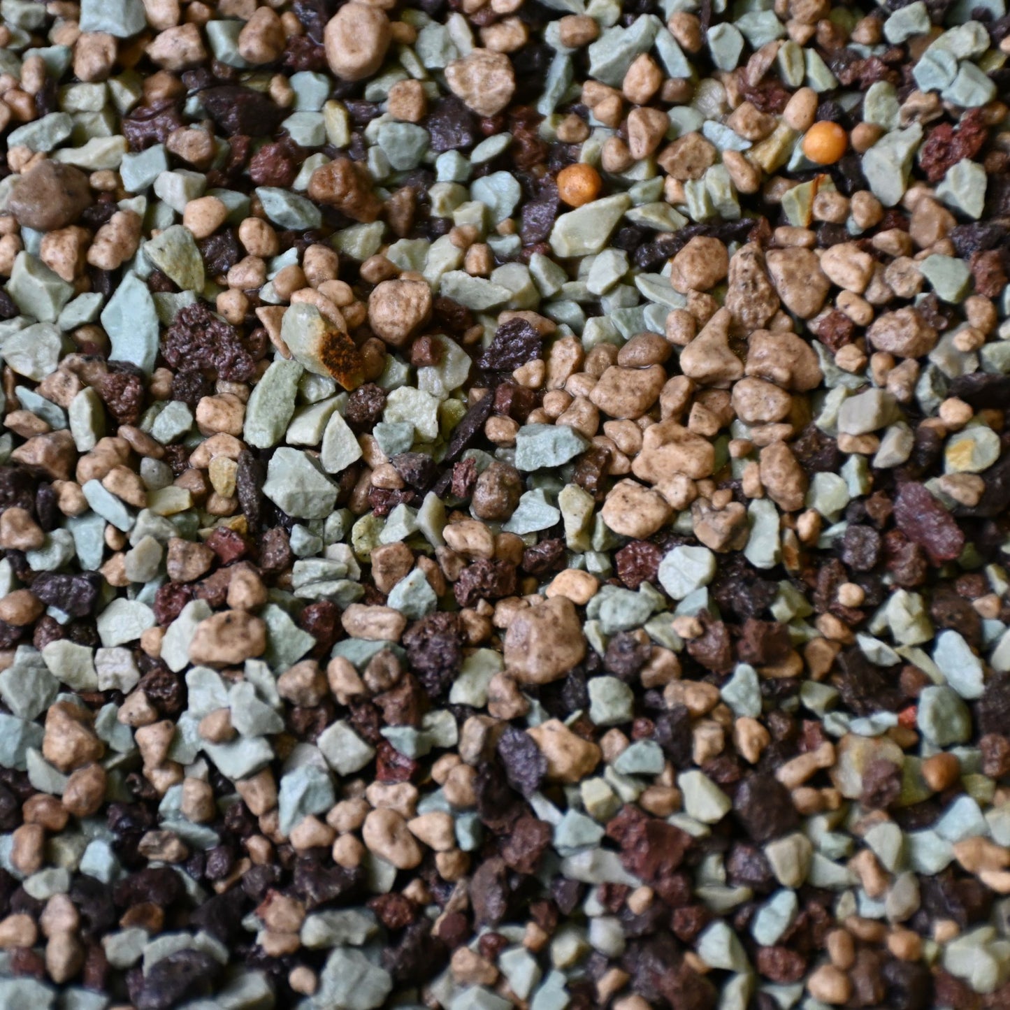 Kakteen & Sukkulenten Mineral-Mix