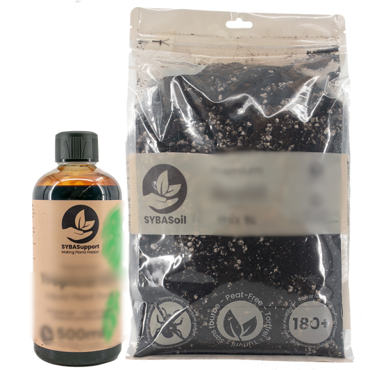 Individuelle Blumenerde-Beratung™: Wir finden, was deine Pflanze wirklich braucht