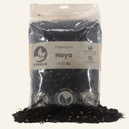 Hoya-Erde