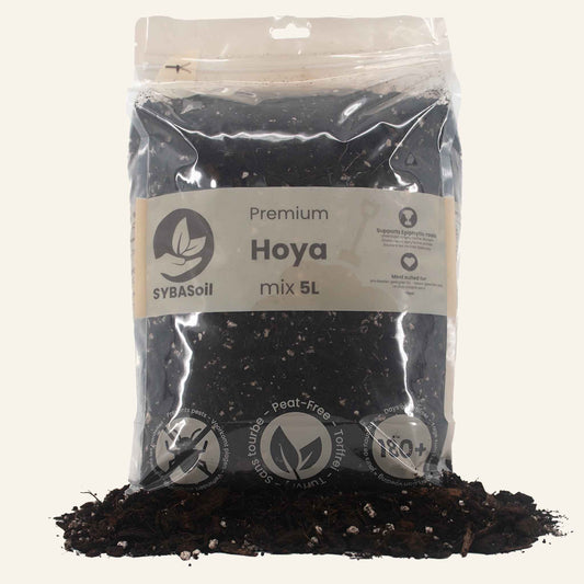 Hoya-Erde