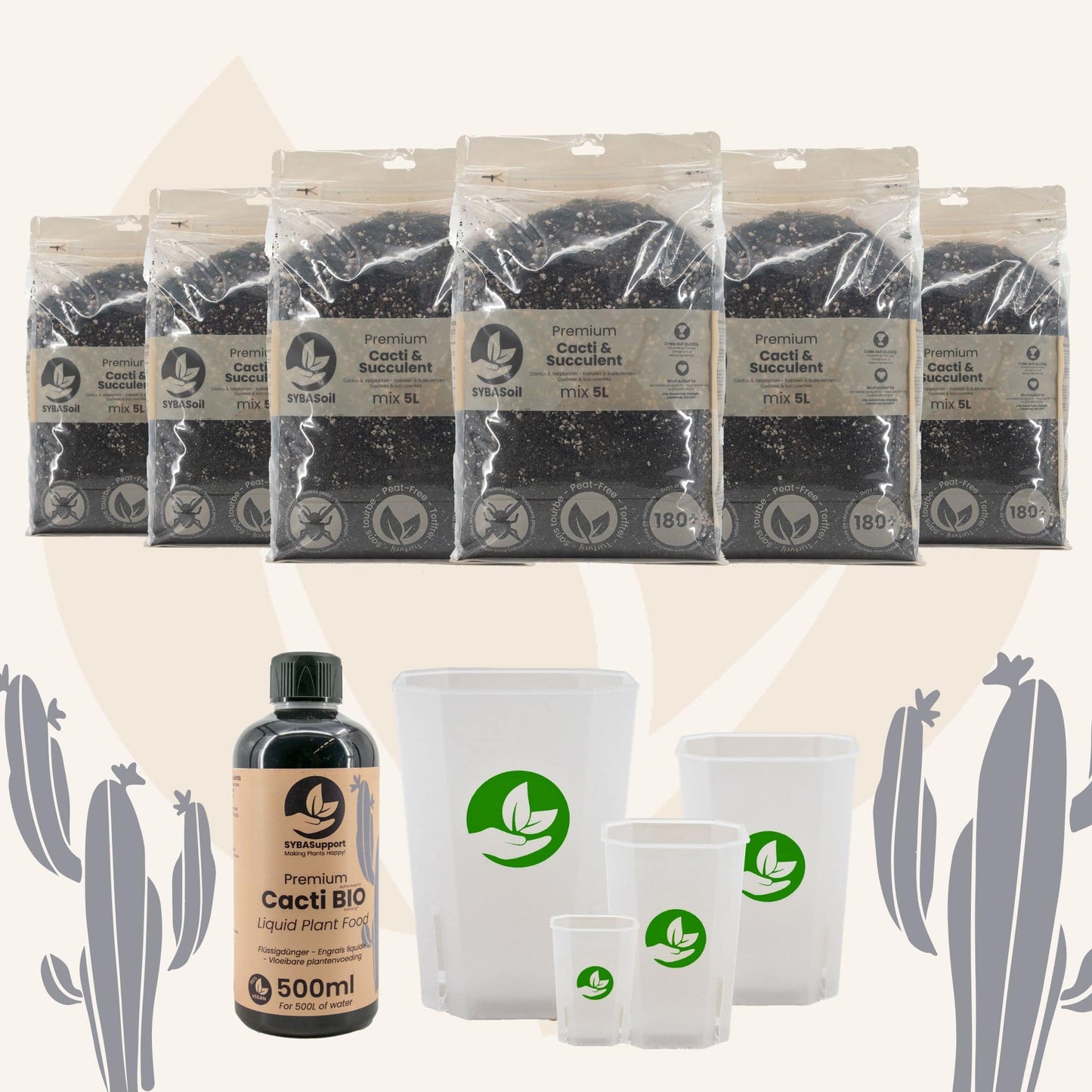 Glückliches Starter-Bundle Kakteen & Sukkulenten