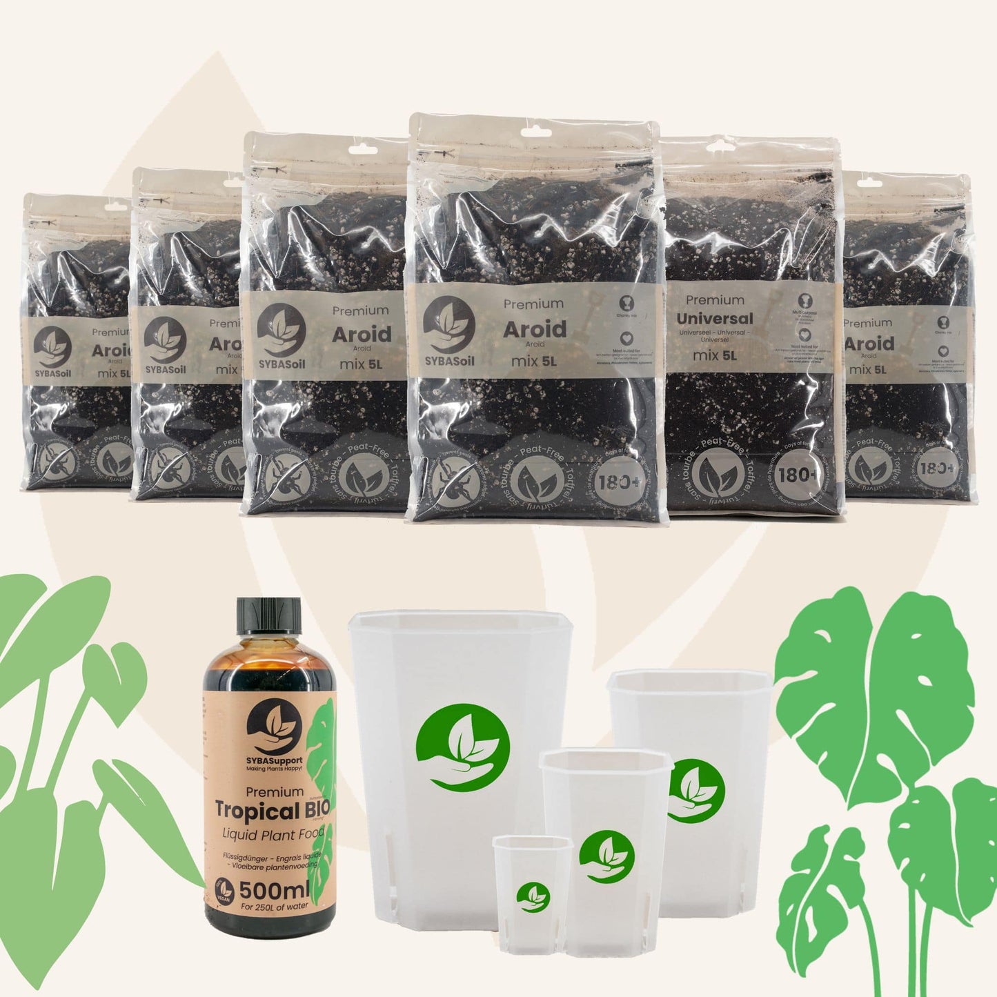Glückliches Starter-Bundle Monstera & Philodendron
