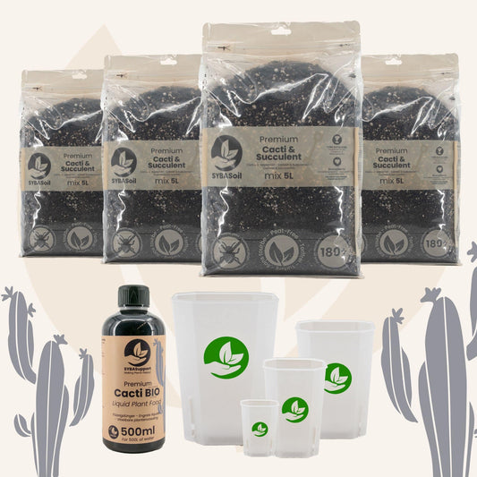 Glückliches Starter-Bundle Kakteen & Sukkulenten