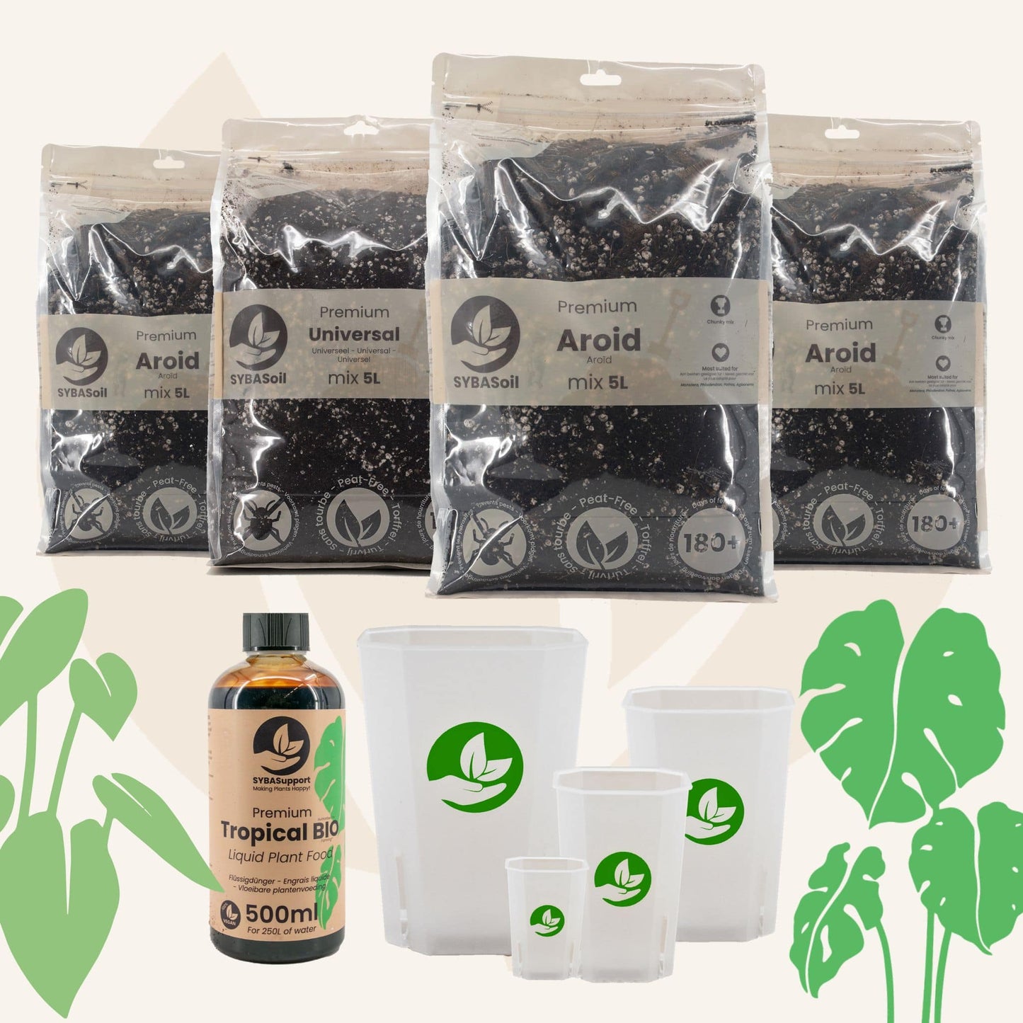 Glückliches Starter-Bundle Monstera & Philodendron