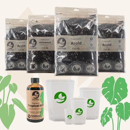 Glückliches Starter-Bundle Monstera & Philodendron
