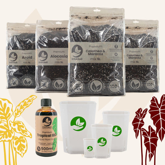 Glückliches Starter-Bundle Tropischer Dschungel