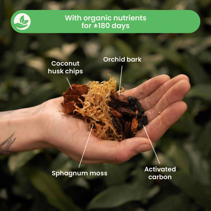 Orchideenerde