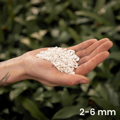Perlite Kaufen Pflanzen () Perlite Kaufen Pflanzen