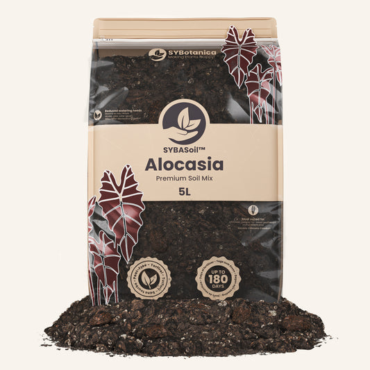Alokasien-Erde 5L