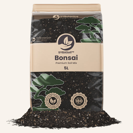 Bonsai-Erde