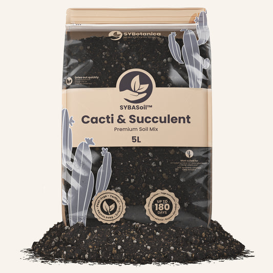 Kakteen & Sukkulenten-Erde