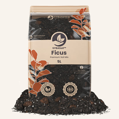 Ficus-Erde 5L