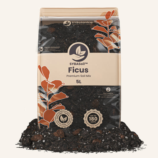 Ficus-Erde 5L