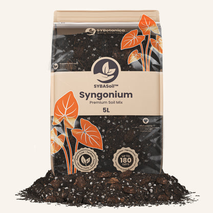 Syngonium-Erde 5L