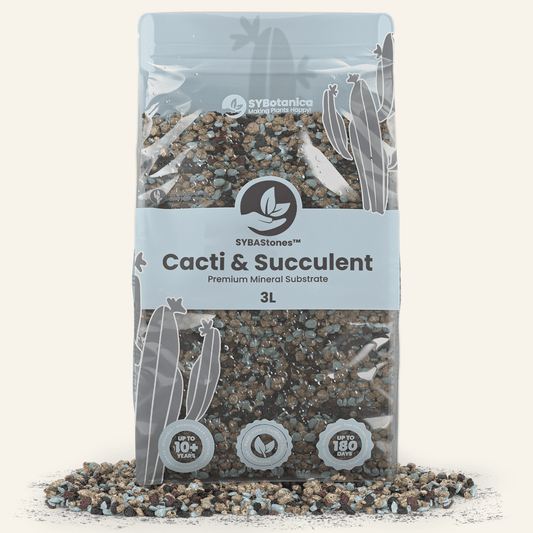 Kakteen & Sukkulenten Mineral-Mix