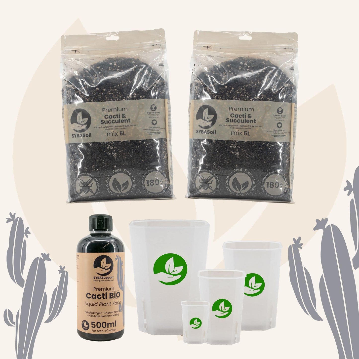Glückliches Starter-Bundle Kakteen & Sukkulenten