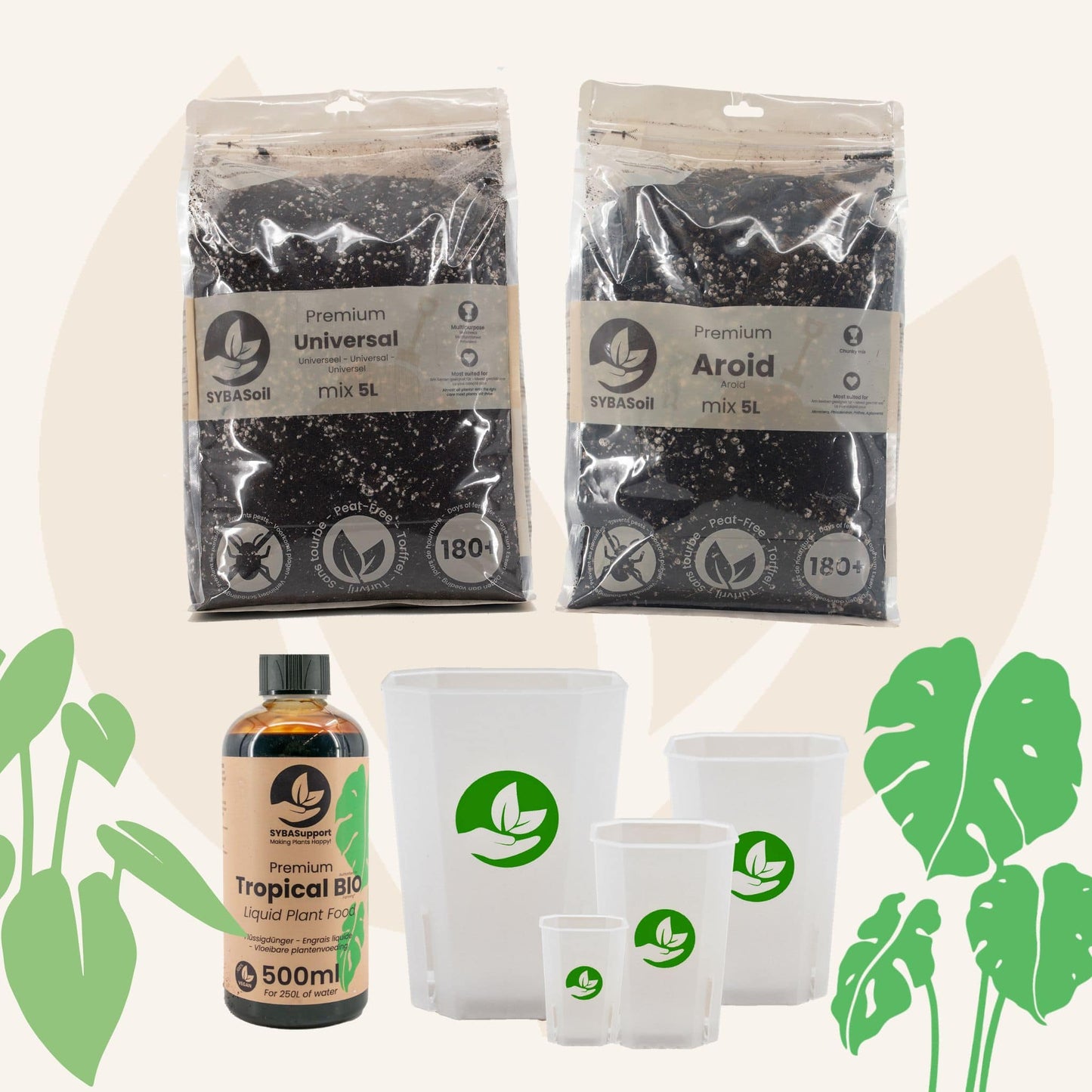 Glückliches Starter-Bundle Monstera & Philodendron