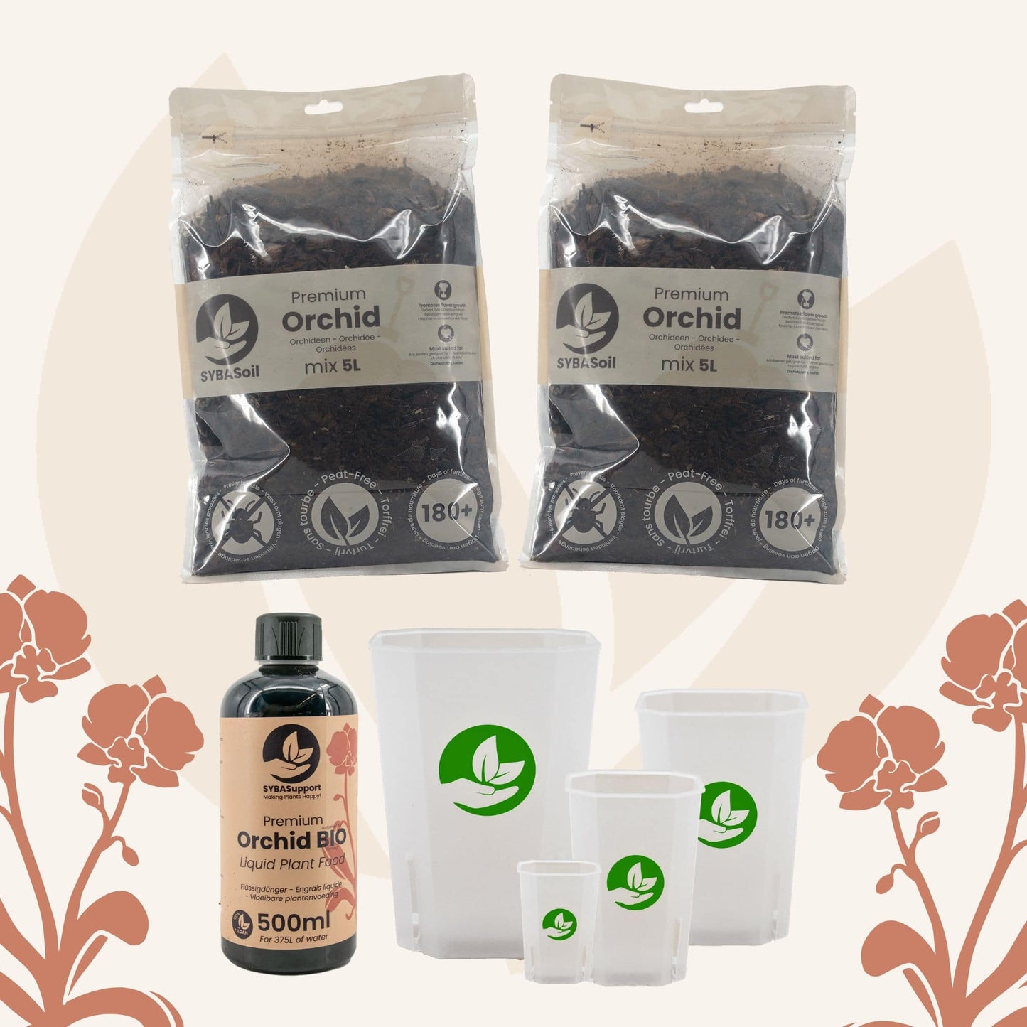 Glückliches Starter-Bundle Monstera & Philodendron