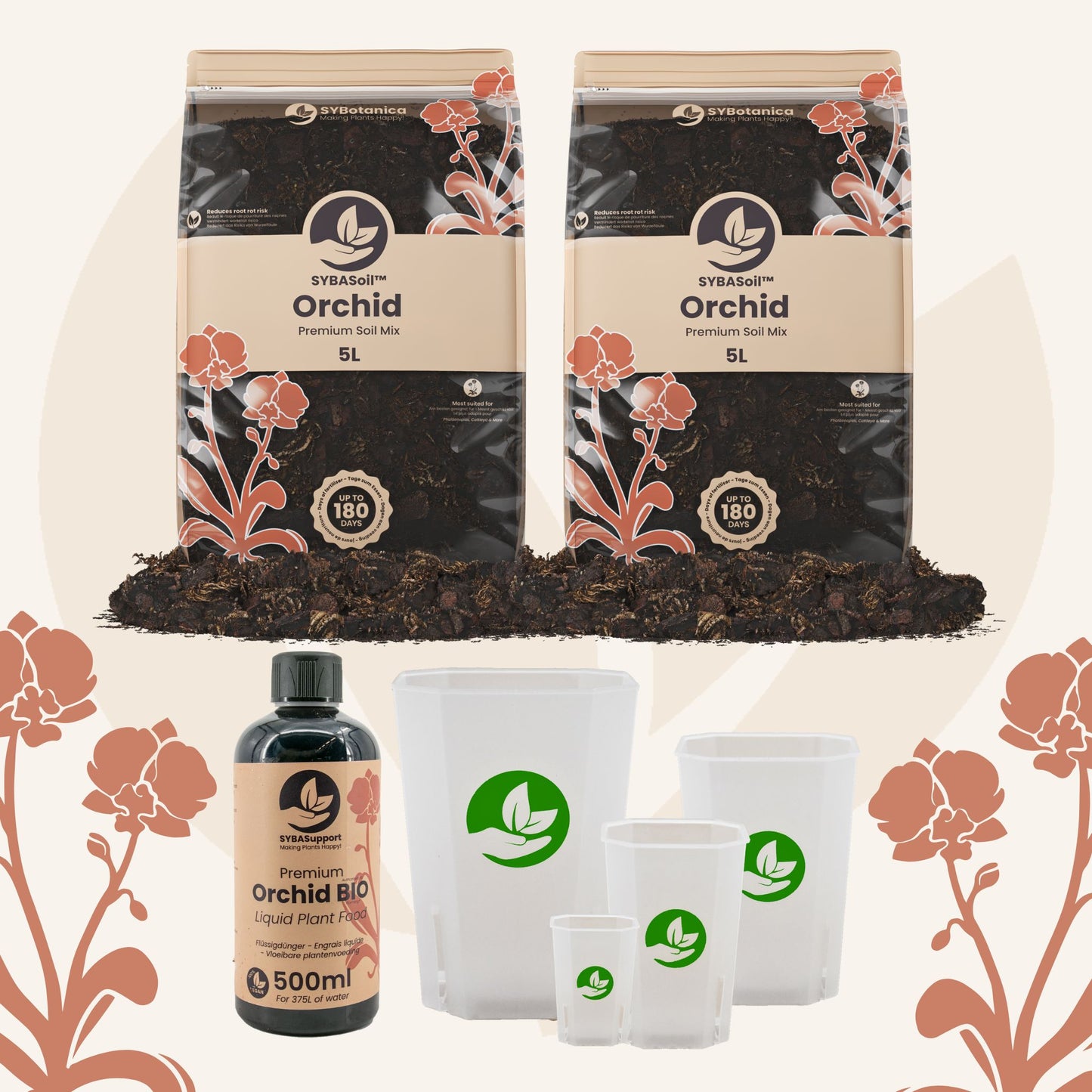 Willkommens-Bundle Orchideen