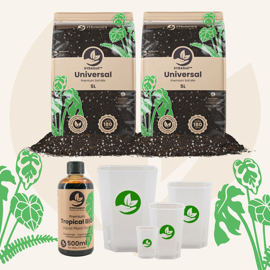 Willkommens-Bundle Universal