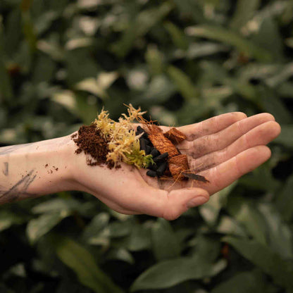 Terrarien-Erde